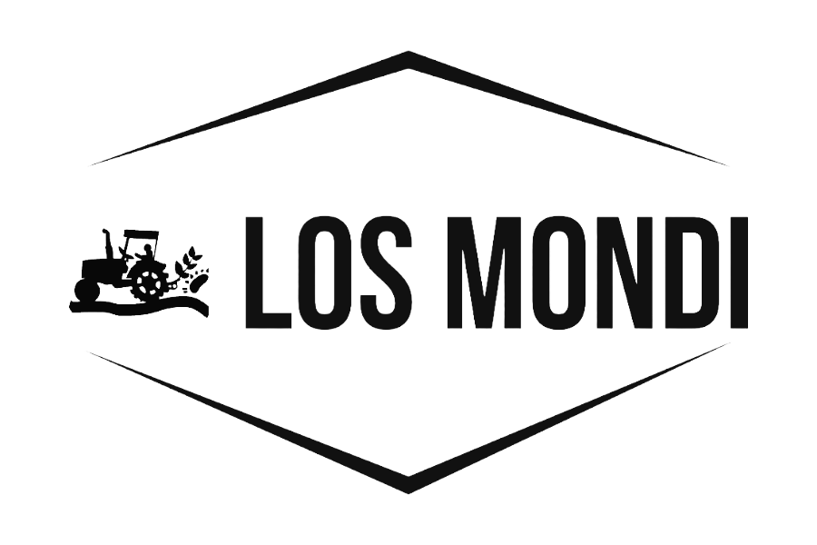 LosMondi logo